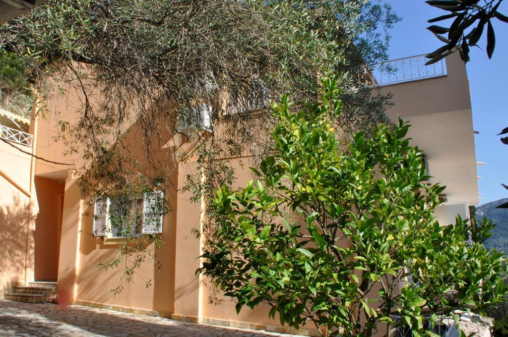 Stella'S Apartments آغيوس غوذيوس المظهر الخارجي الصورة