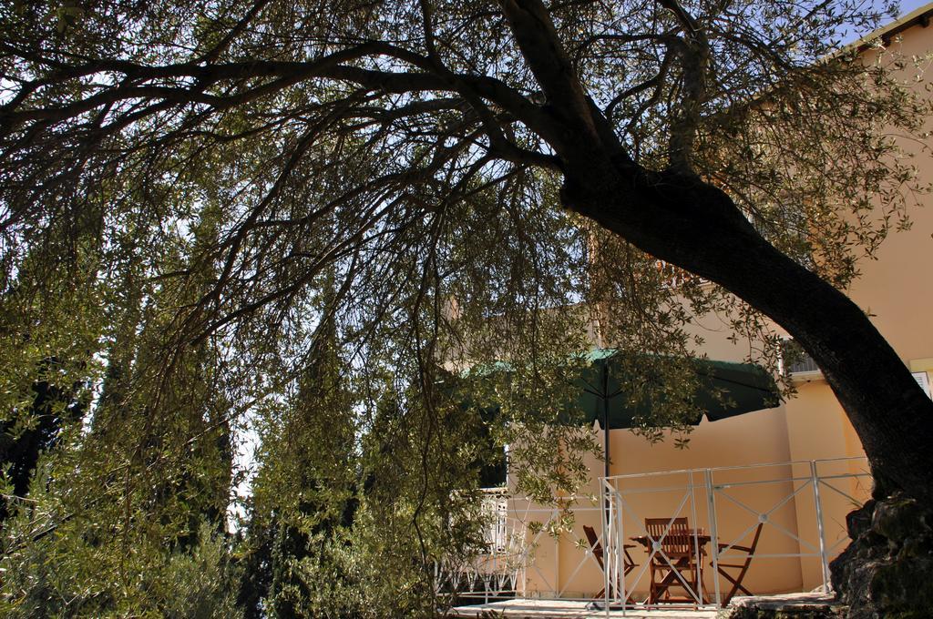 Stella'S Apartments آغيوس غوذيوس المظهر الخارجي الصورة